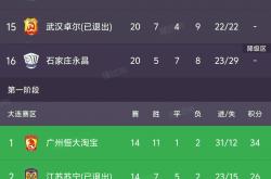 开云体育app-四川队表现亮眼，实力不凡稳居积分榜的简单介绍