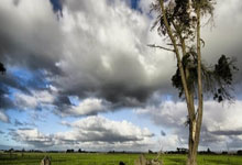 开云体育APP下载-包含保加利亚队夺得宝贵分，晋级前景看好的词条