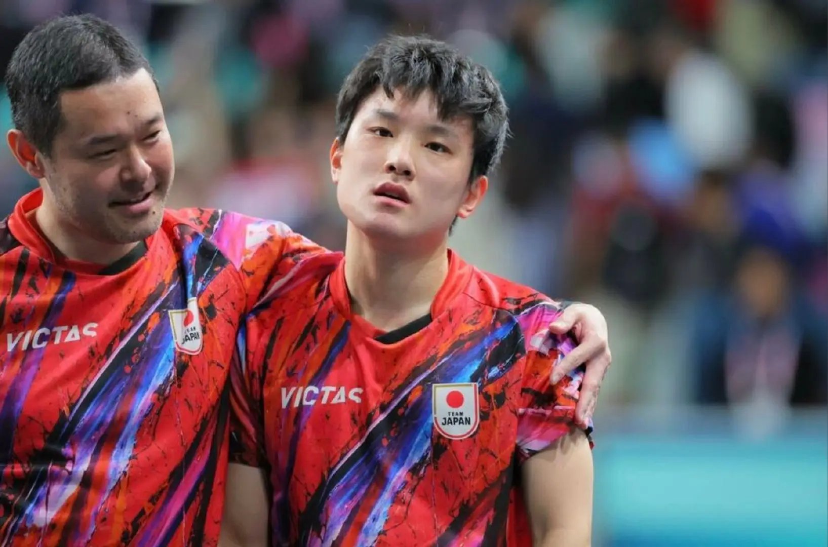 包含法国乒乓球队鏖战奥地利乒乓球队,张本智和绝境逆转的词条 包含法国乒乓球队鏖战奥地利乒乓球队,张本智和绝境逆转的词条