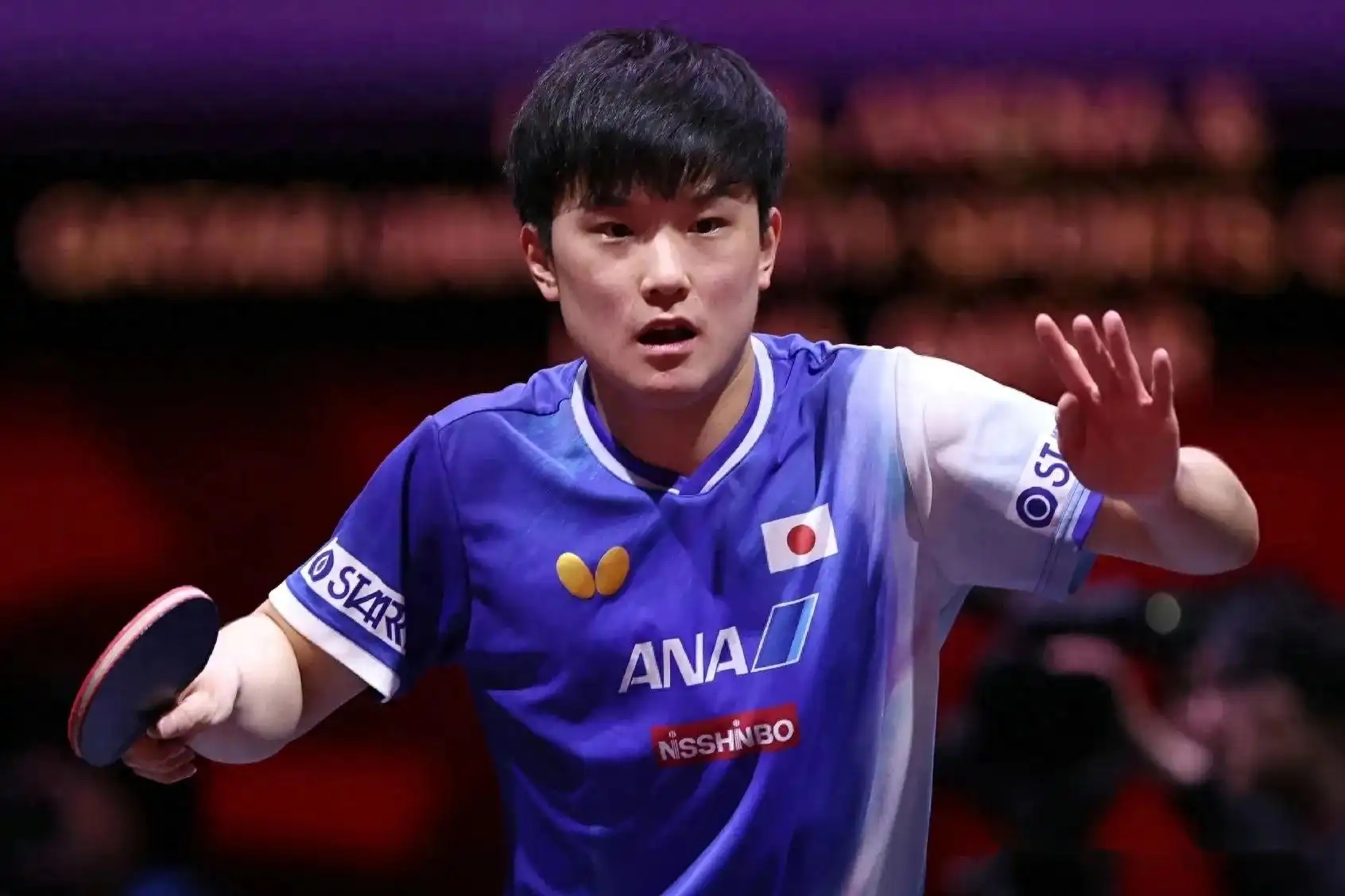 包含法国乒乓球队鏖战奥地利乒乓球队,张本智和绝境逆转的词条 包含法国乒乓球队鏖战奥地利乒乓球队,张本智和绝境逆转的词条