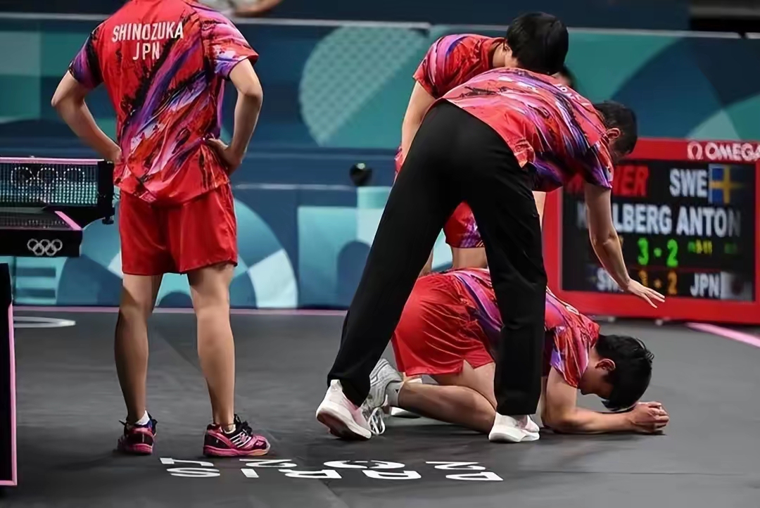 包含波兰队险胜法国队,张本智和点燃赛场的词条 包含波兰队险胜法国队,张本智和点燃赛场的词条