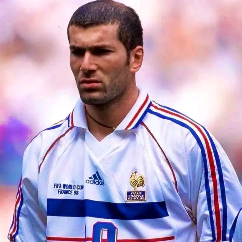 瑞典队绝杀法国队,奥恰洛夫惊艳四座的简单介绍 瑞典队绝杀法国队,奥恰洛夫惊艳四座的简单介绍