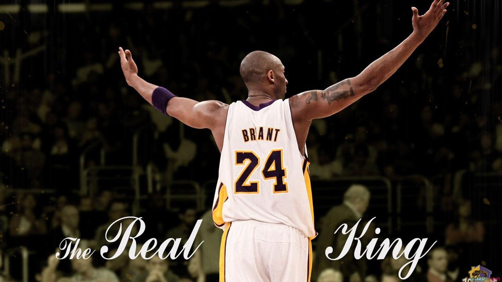 皮克的里程碑之夜,当贝蒂斯绿白条纹遇见佛罗伦萨紫色荣光